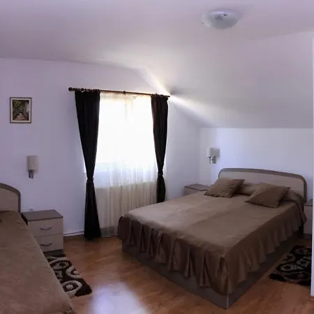 Guest house Pensiunea Gaby 3*