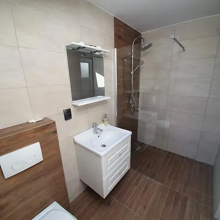 Guest house Pensiunea Gaby
