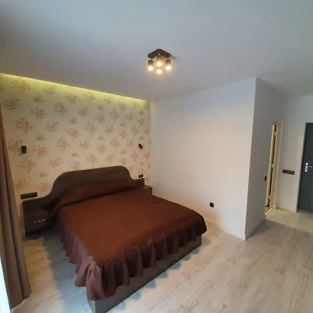 Pensiunea Gaby Guest house
