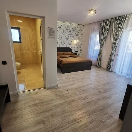Guest house Pensiunea Gaby 3*