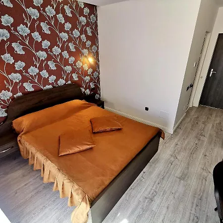 Pensiunea Gaby 3* Cluj-Napoca